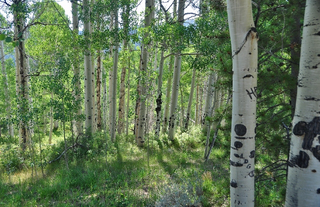 Lower Cataract Lake Trail